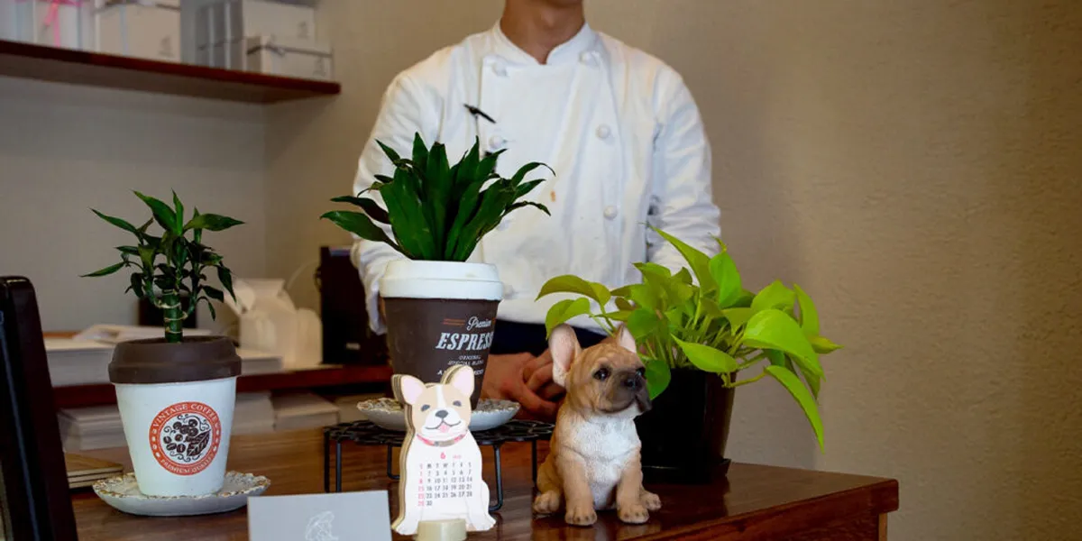 新規開業のケーキ屋が目指した、仕込み・会計・販売を最適化するPOSレジ運用