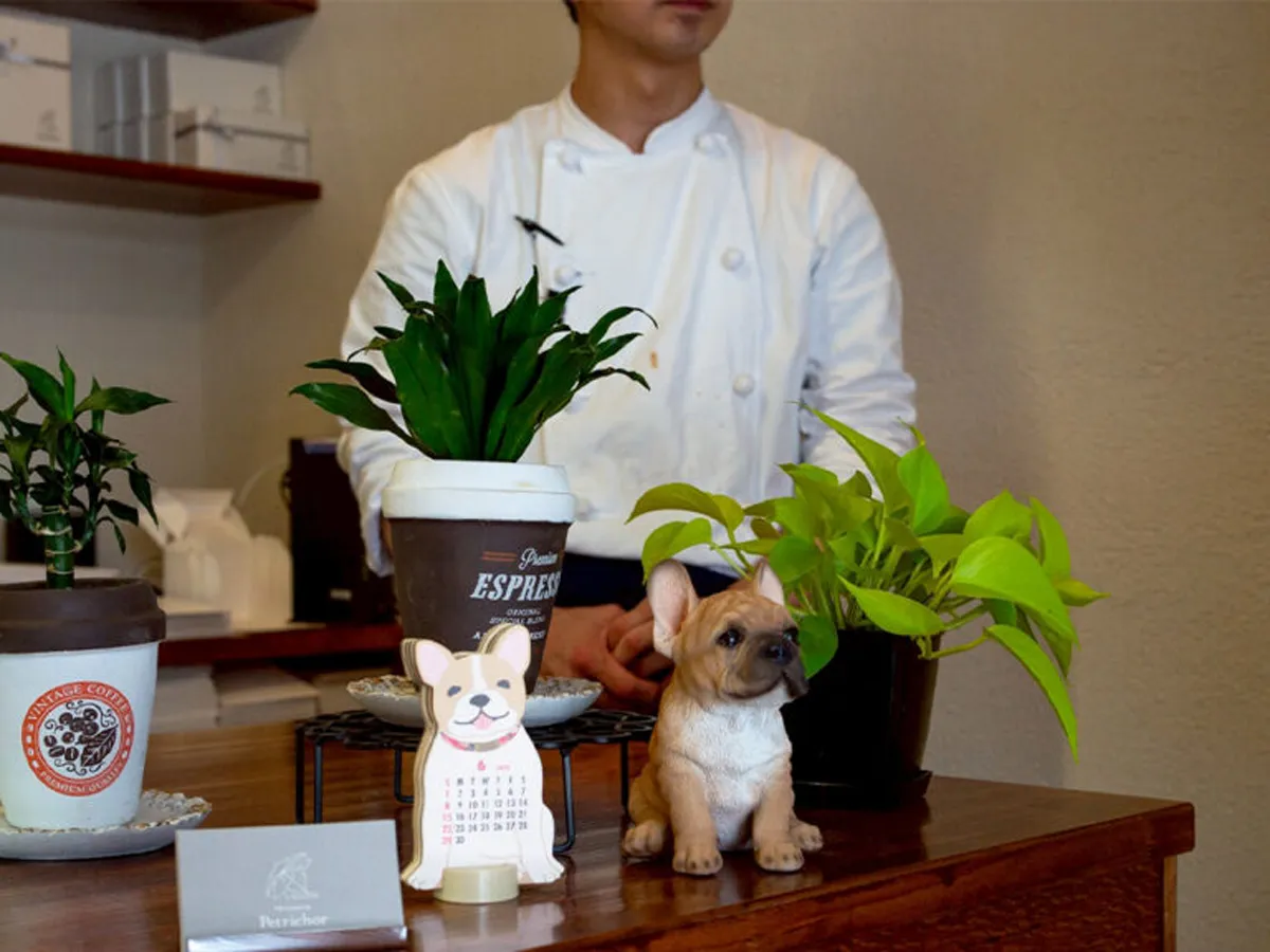 新規開業のケーキ屋が目指した、仕込み・会計・販売を最適化するPOSレジ運用